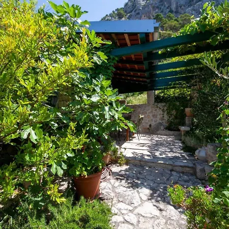 Luxurious In With Jacuzzi Makarska